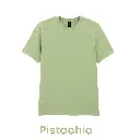Pistachio-GD01-22.webp