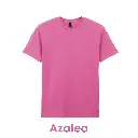 Azalea-GD01-09.webp