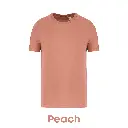 peach-ns300-06.webp