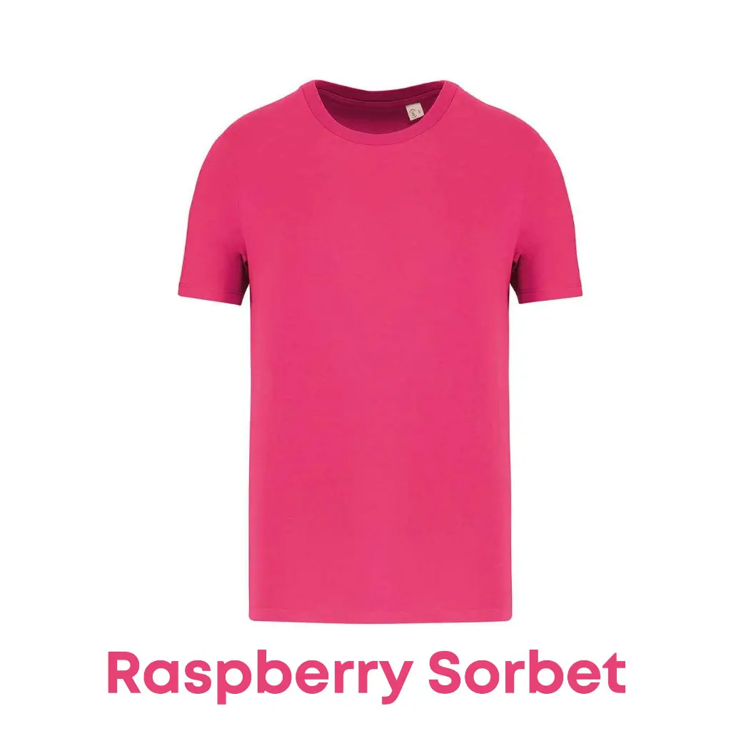 raspberrysorbet-ns300-41.webp