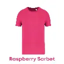 raspberrysorbet-ns300-41.webp