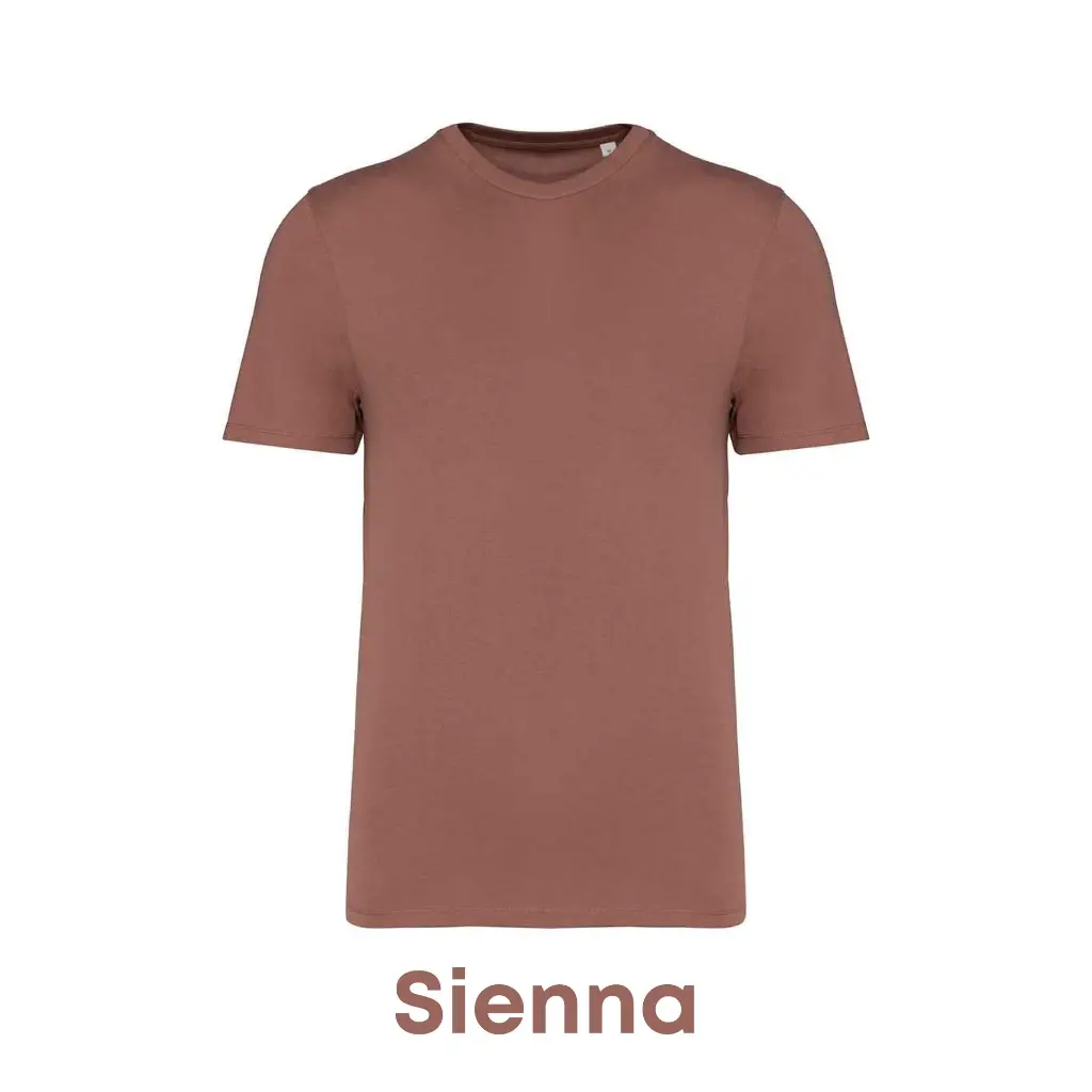 sienna-ns300-42.webp