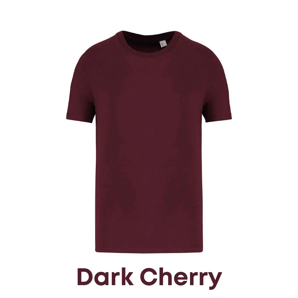 darkcherry-ns300-01.webp