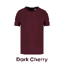 darkcherry-ns300-01.webp