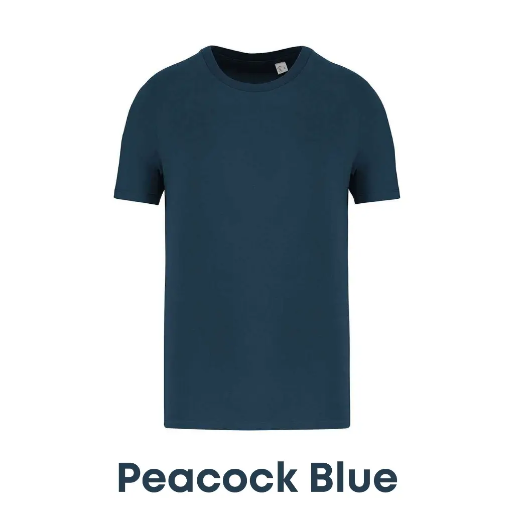 peacockblue-ns300-20.webp