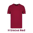 hibiscusred-ns300-38.webp
