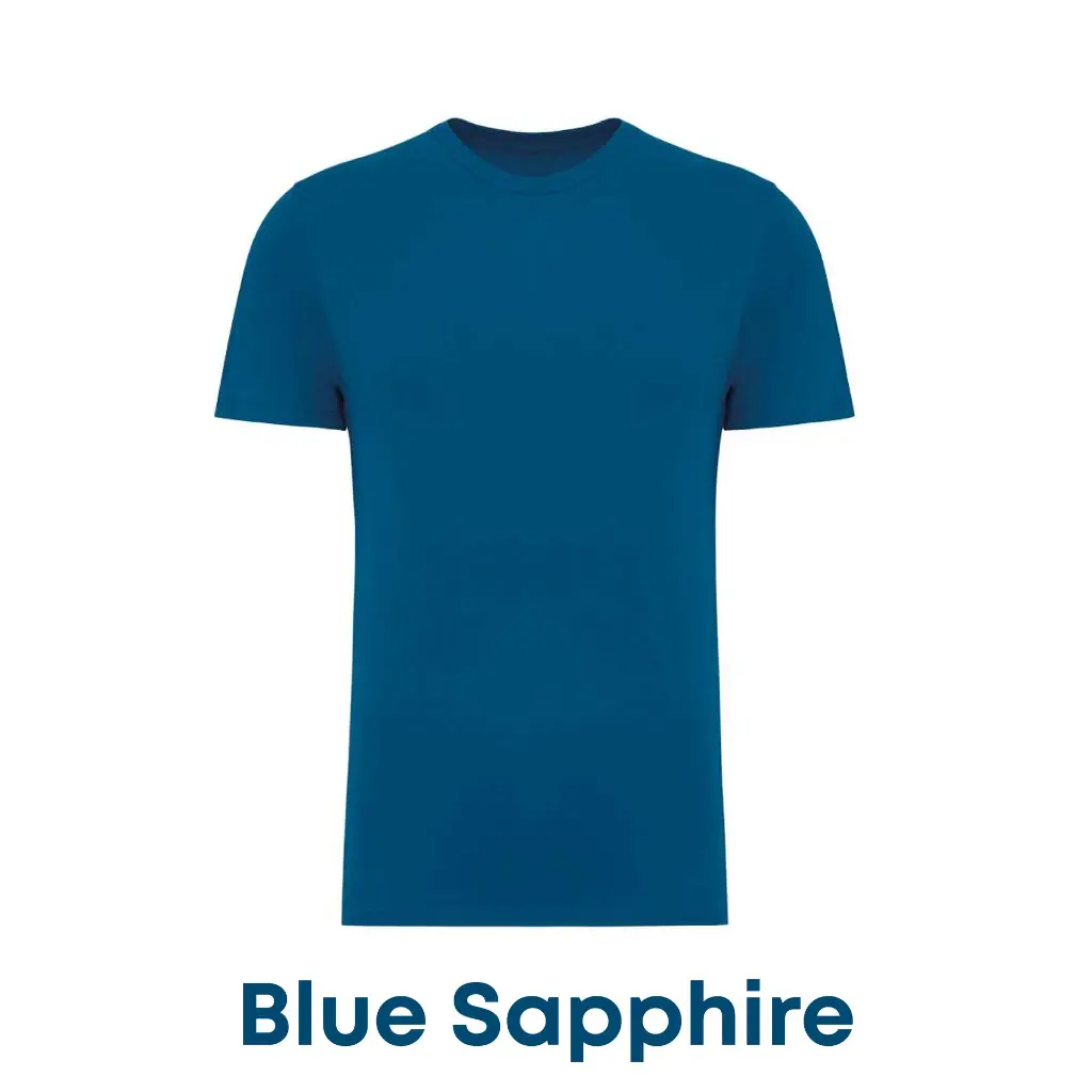 bluesapphine-ns300-23.webp