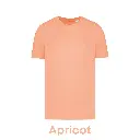 apricot-ns300-05.webp
