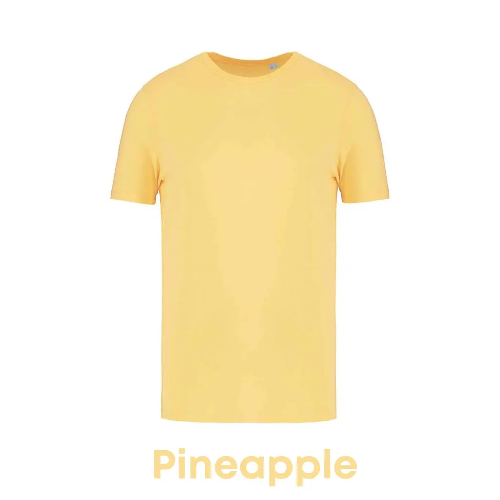 pineapple-ns300-13.webp