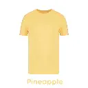 pineapple-ns300-13.webp