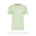celadongreen-ns300-30.webp