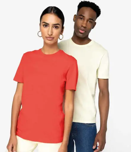 NS300 - Native Spirit Organic T-Shirt